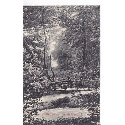 Aarhus - Fra Riis Skov - Aa.K. u/n