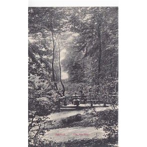 Aarhus - Fra Riis Skov - Aa.K. u/n