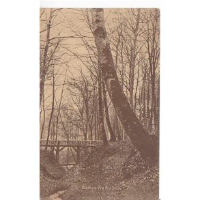 Aarhus - Fra Riis Skov - Aa.K. 093426