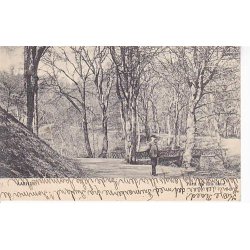 Aarhus - Fra Riis Skov - u/n