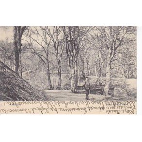 Aarhus - Fra Riis Skov - u/n