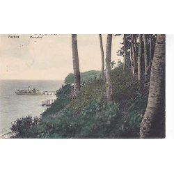 Aarhus - &Oslash;rnereden - u/n