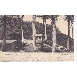 Aarhus - &Oslash;rnereden - St. 815