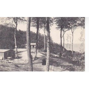 Aarhus -Ved &Oslash;rnereden - St. 815