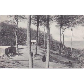 Aarhus -Ved &Oslash;rnereden - St. 815