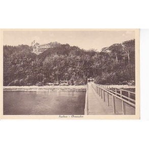 Aarhus - &Oslash;rnereden - A.V. 91