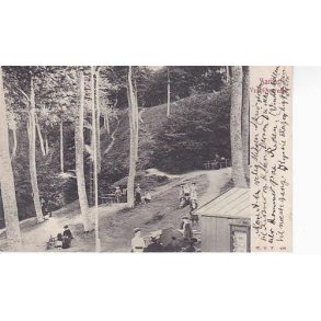 Aarhus -Ved &Oslash;rnereden - WKF 496