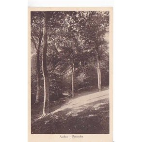 Aarhus - &Oslash;rnereden - A.V. 91