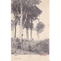 Aarhus -Ved &Oslash;rnereden - HHO 1624