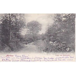 Aarhus - Vejen ved &Oslash;rnereden - WKF 510