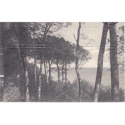 Aarhus - &Oslash;rnereden - H.B. u/n