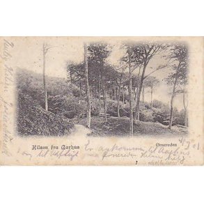 Hilsen fra Aarhus - &Oslash;rnereden - u/n