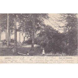 Aarhus - Parti ved &Oslash;rnereden - P.A. 2361