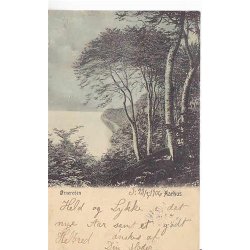 Aarhus - &Oslash;rnereden - Ed.F.Ph.& Co. 4445