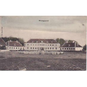 Moesgaard - St. 2983