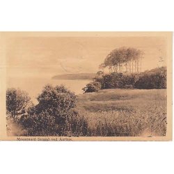 Moesgaard Strand ved Aarhus - A.V- 99