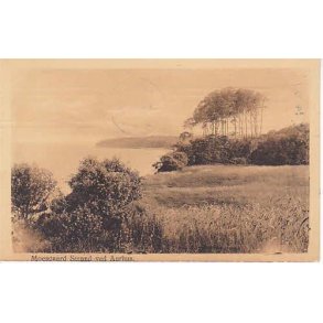 Moesgaard Strand ved Aarhus - A.V- 99