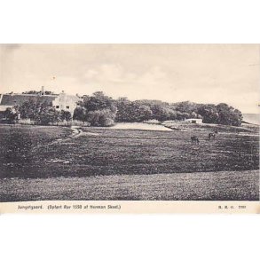 Jungetgaard - HHO 2383