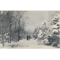 Thisted i Sne - St.19023