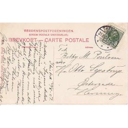 Thisted set i Fugleperspektiv - C.B. 11075