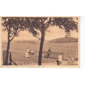 Thisted - Parti fra Engen -St. 25424