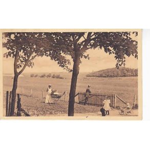 Thisted - Parti fra Engen -St. 25424