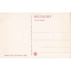 Thisted - Parti fra Sommerlyst -St. 13248