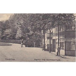 Thisted - Parti fra Sommerlyst -H.K. 98083