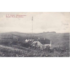 N.P.Lyb&aelig;k - Andelsgartner. Skaade Mark. JJN 4278
