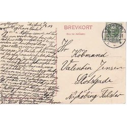 Thisted - Parti fra Plantagen - St.13249