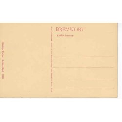 Thisted - Parti fra Plantagen - St.13249