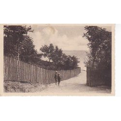 Thisted - Parti fra Strandstien - St. 31