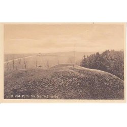 Parti fra Sj&oslash;rring Volde - St.36320