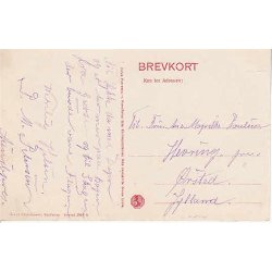 Parti fra Avnsbjerg Skov ved Kjellerup -D.C. 2988