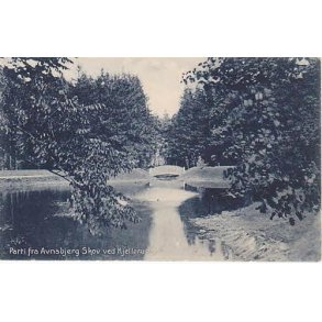 Parti fra Avnsbjerg Skov ved Kjellerup -D.C. 2988