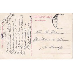 Parti fra Alsted Skov - C. 13785