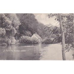 Parti fra Alsted Skov - C. 13785