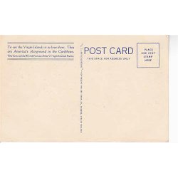 Market Day in St.Thomas, V.I.