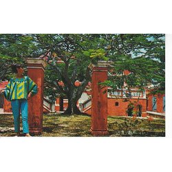 Fort Christiansvaern. St. Croix - D.P. 2446