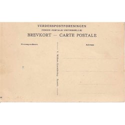 Vejle og Omegn - Kort - V.M. 46