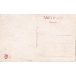 Vejlefjords Sanatorium set fra Himmerigsbakken