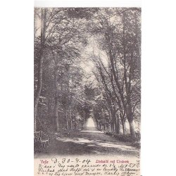 Vejle - Lindealle ved Tirsb&aelig;k - WKF u/n