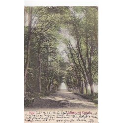 Vejle - Lindealle ved Tirsb&aelig;k - WKF u/n