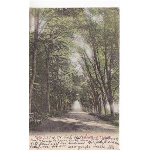 Vejle - Lindealle ved Tirsb&aelig;k - WKF u/n