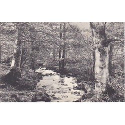 Vejle - I Tirsb&aelig;k Skov - u/n