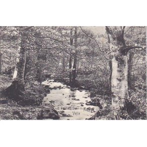 Vejle - I Tirsb&aelig;k Skov - u/n