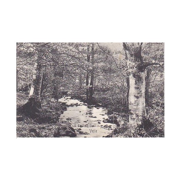 Vejle - I Tirsb&aelig;k Skov - u/n