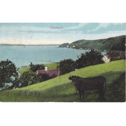 Vejlefjord - C.F. 678