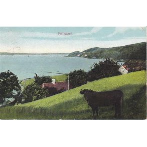 Vejlefjord - C.F. 678