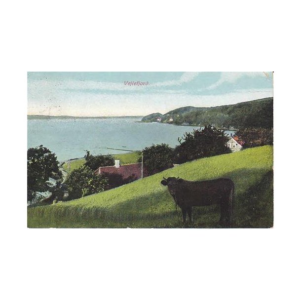 Vejlefjord - C.F. 678